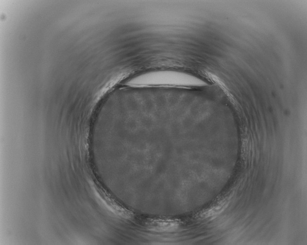 X0000087320443200705041718