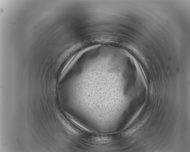 X0000087320445200705041718