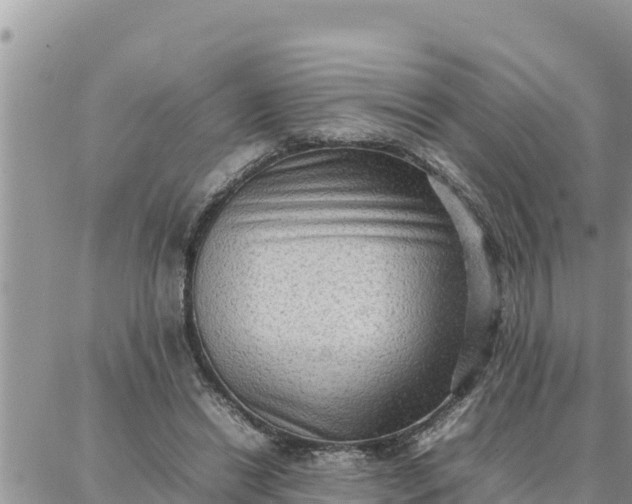 X0000087320446200705041718