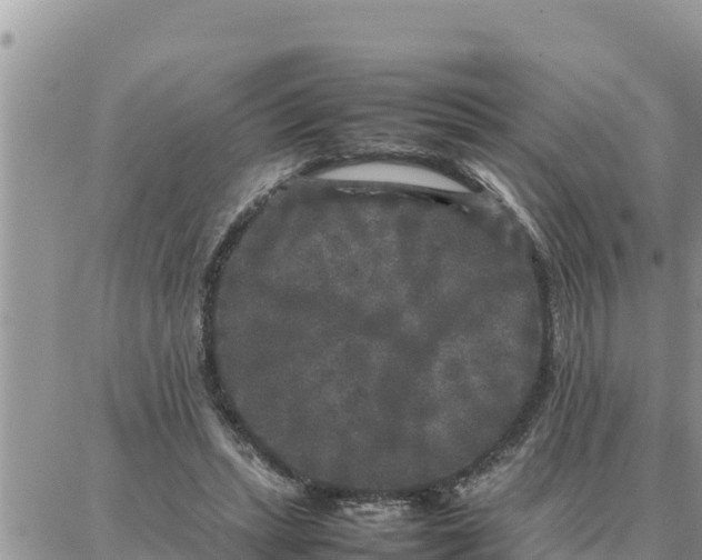 X0000087320447200705041718