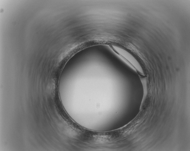 X0000087320448200705041718