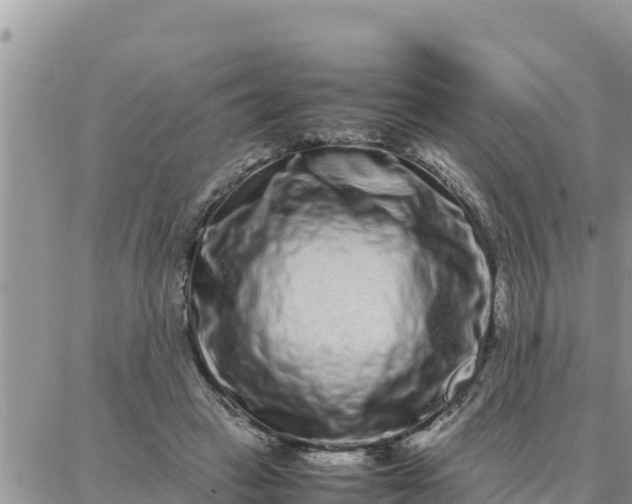 X0000087320449200705041718