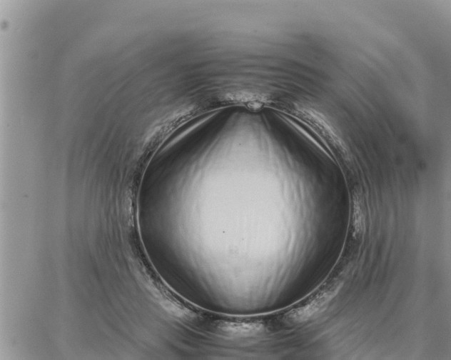 X0000087320453200705041718