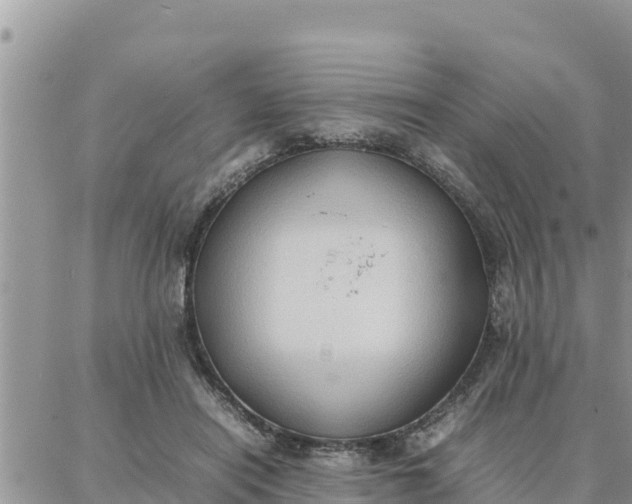 X0000087320454200705041718