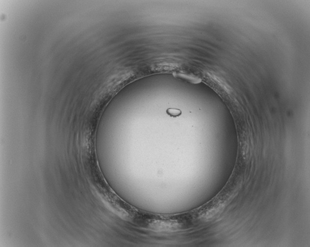 X0000087320455200705041719