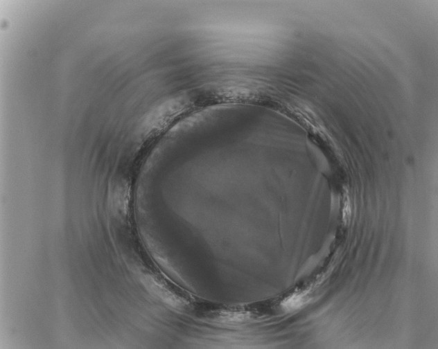 X0000087320458200705041719