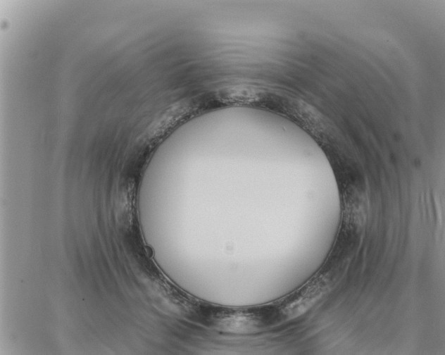 X0000087320460200705041719