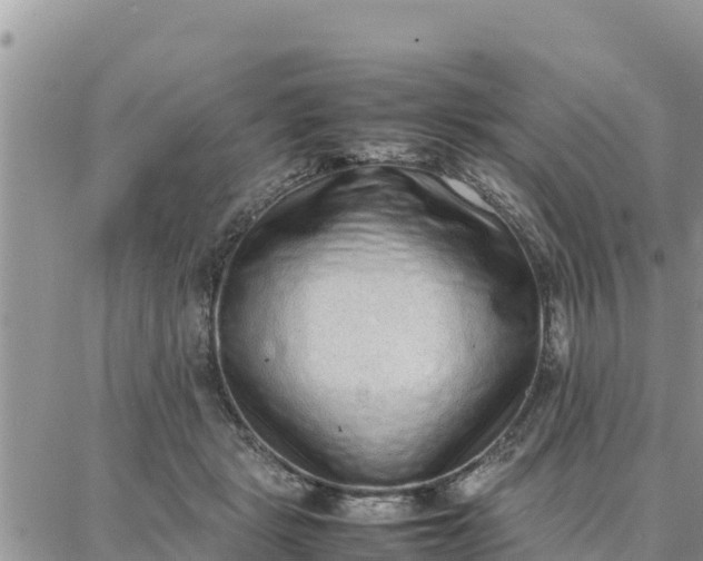 X0000087320461200705041719