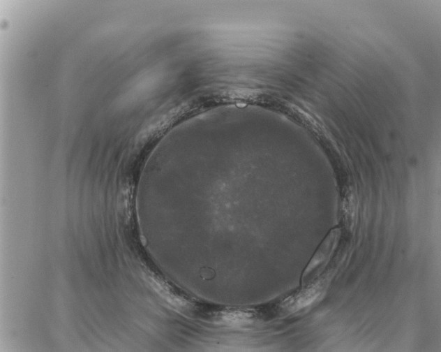 X0000087320462200705041719