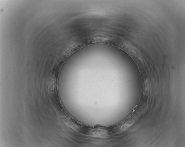 X0000087320463200705041719