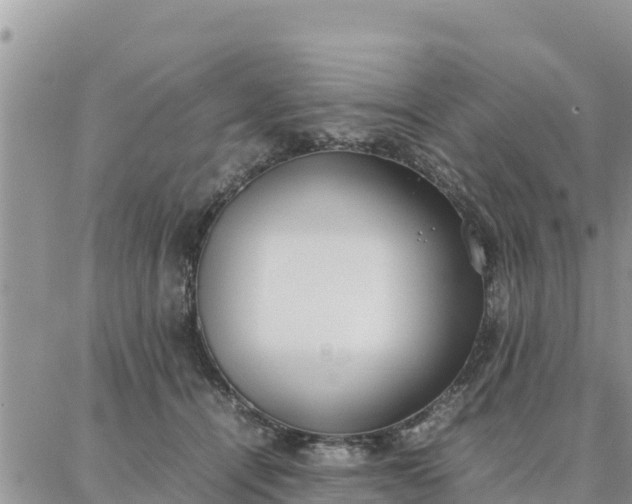 X0000087320464200705041719