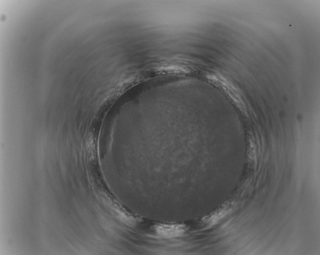 X0000087320465200705041719