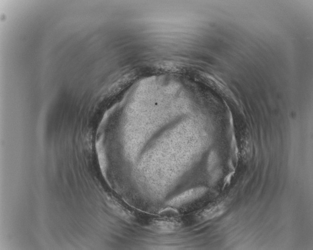 X0000087320466200705041719