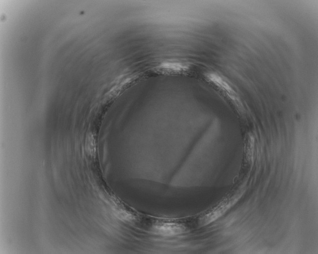 X0000087320467200705041719