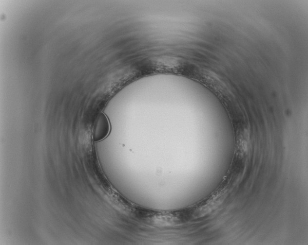 X0000087320468200705041719