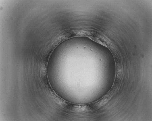 X0000087320469200705041719