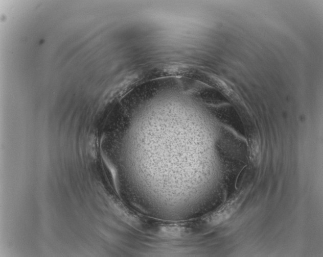 X0000087320470200705041719