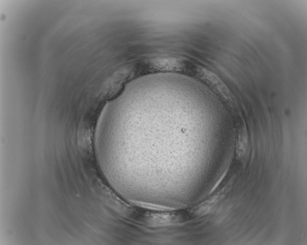 X0000087320473200705041719