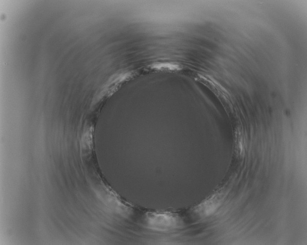 X0000087320475200705041719