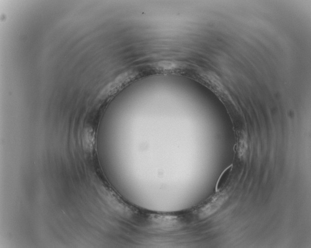 X0000087320476200705041719