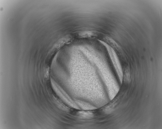 X0000087320477200705041719