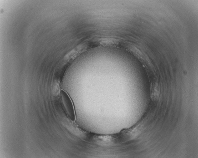 X0000087320478200705041719