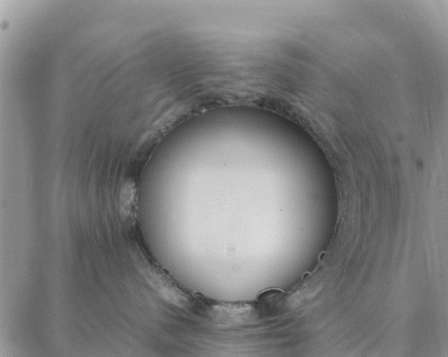 X0000087320480200705041719