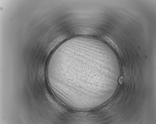 X0000087320482200705041718