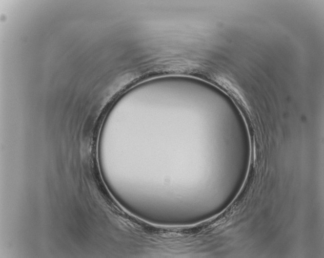 X0000087320483200705041718