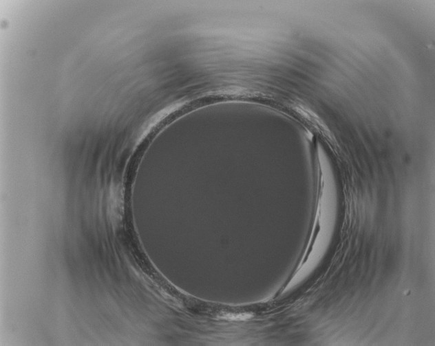 X0000087320484200705041718