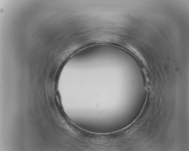 X0000087320485200705041718