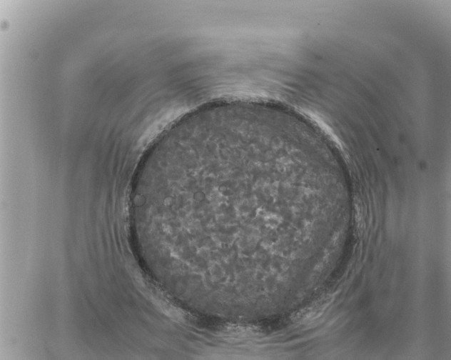 X0000087320487200705041718