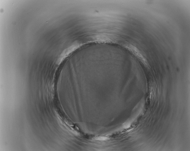 X0000087320488200705041718