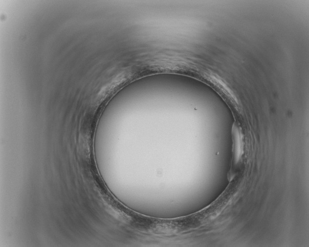 X0000087320489200705041718