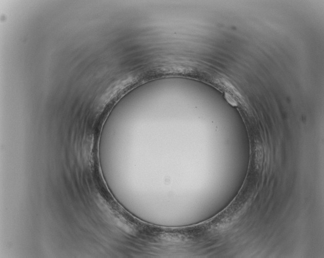 X0000087320490200705041718