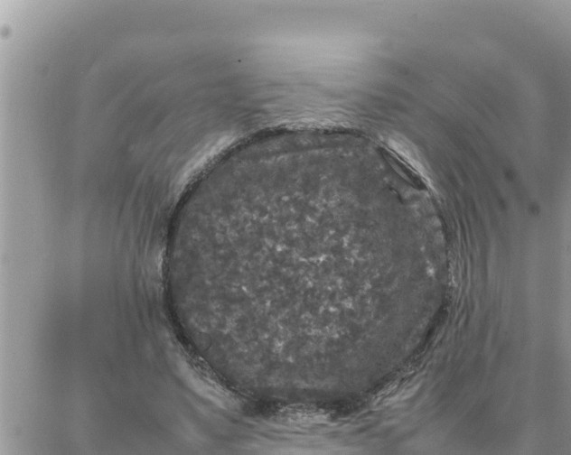 X0000087320491200705041718