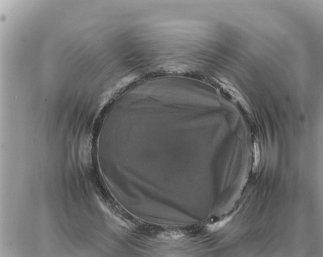 X0000087320492200705041718