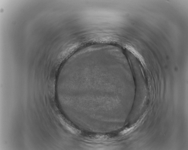 X0000087320493200705041718