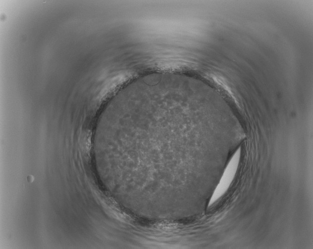 X0000087320495200705041718