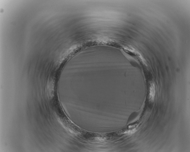 X0000087320496200705041718