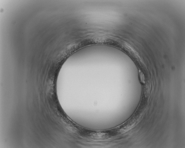 X0000087320497200705041718