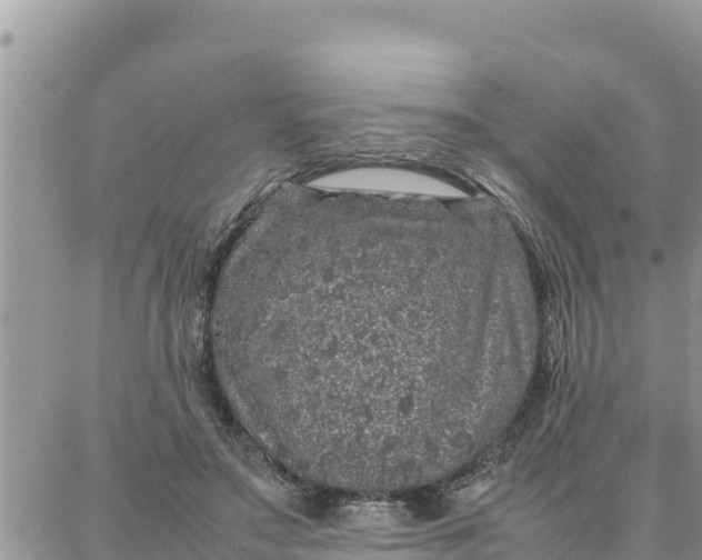 X0000087320499200705041718