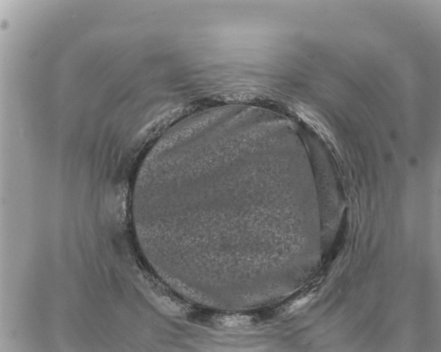 X0000087320501200705041718