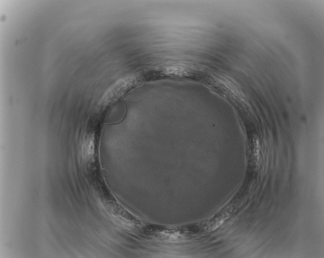 X0000087320502200705041718