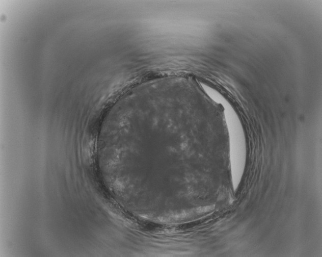 X0000087320503200705041718