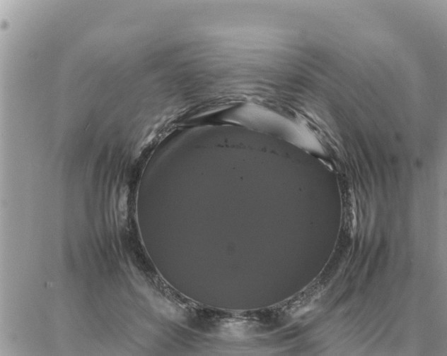 X0000087320504200705041718