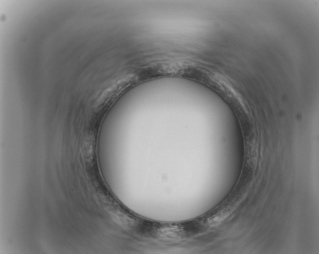 X0000087320505200705041718