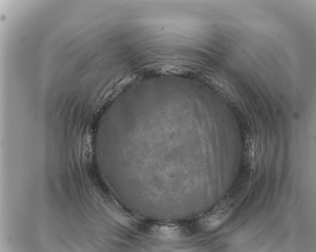 X0000087320506200705041718