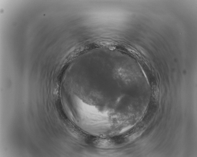 X0000087320507200705041718