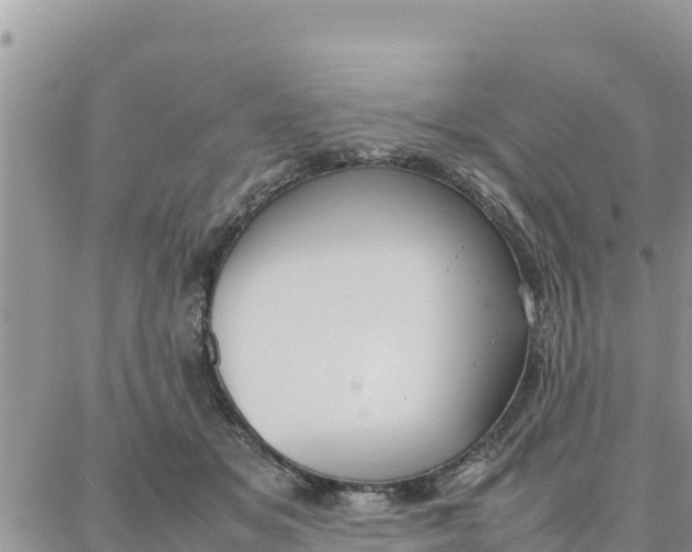 X0000087320509200705041718